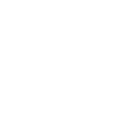 Fly-erp_branco